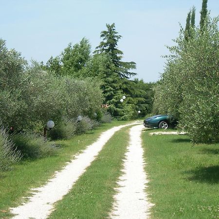 Vista Assisi Bed and Breakfast Buitenkant foto