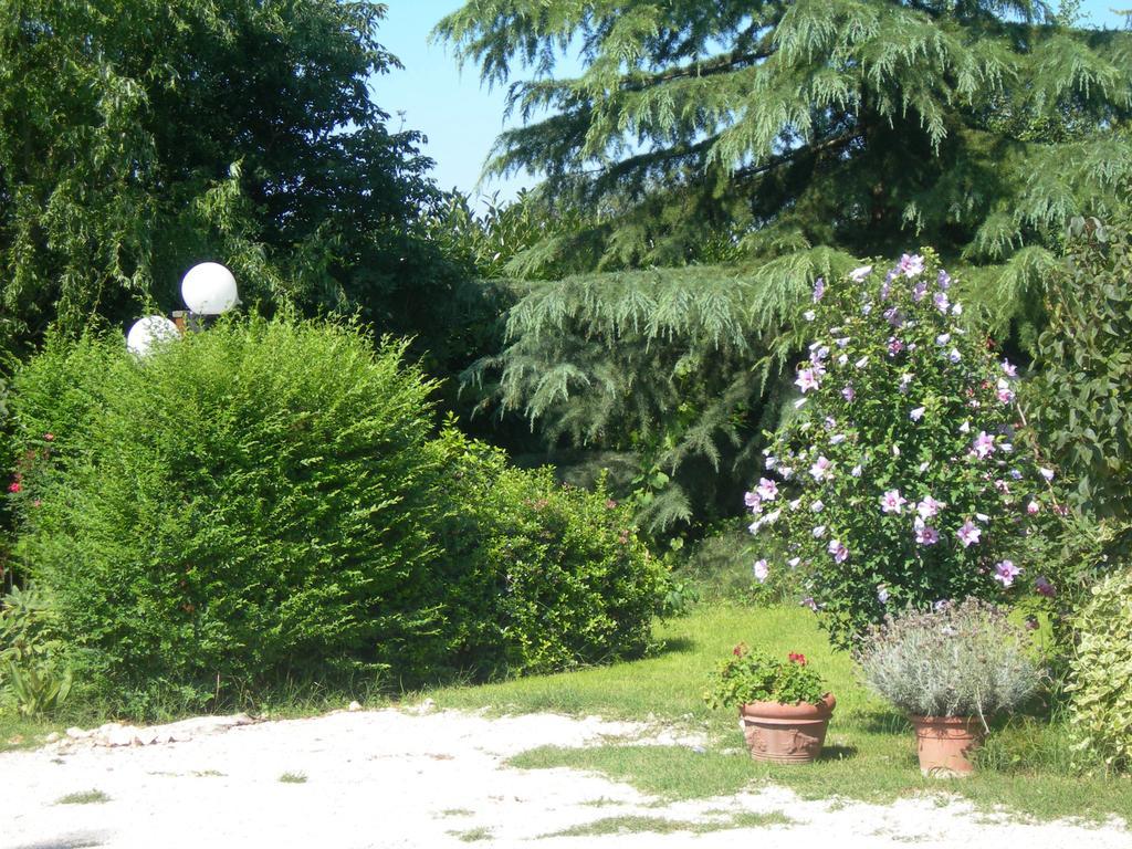 Vista Assisi Bed and Breakfast Buitenkant foto