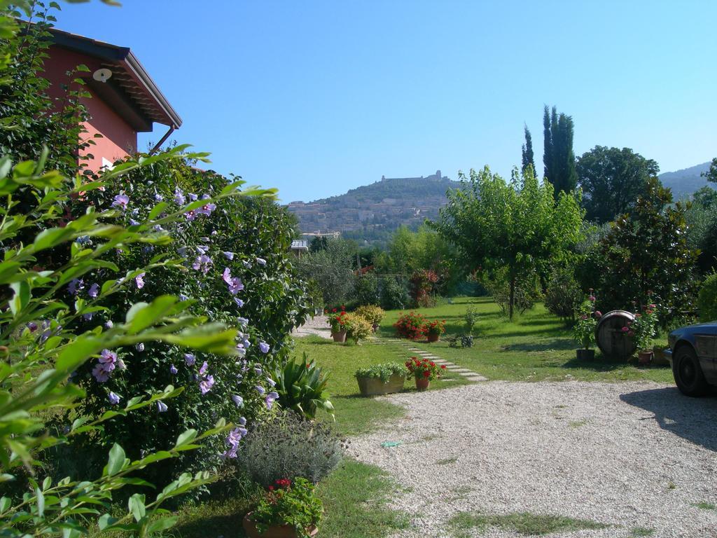Vista Assisi Bed and Breakfast Buitenkant foto