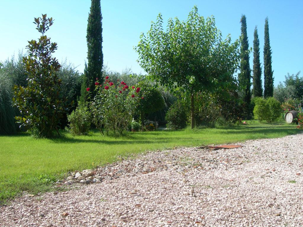 Vista Assisi Bed and Breakfast Buitenkant foto