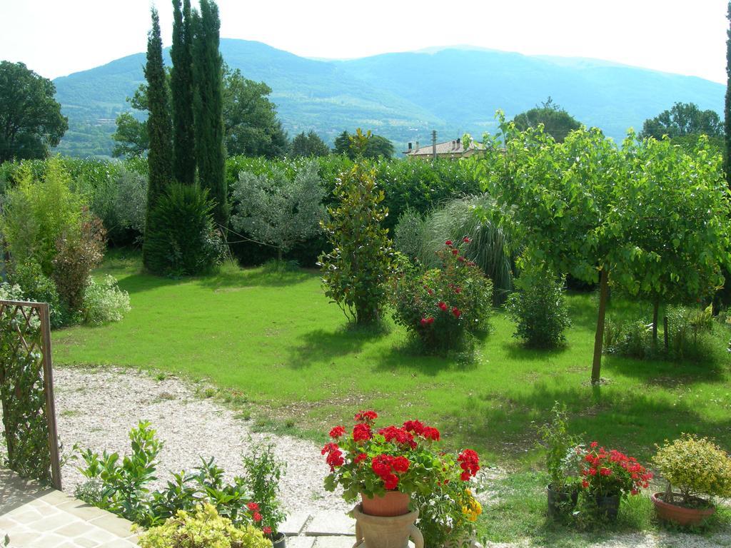 Vista Assisi Bed and Breakfast Buitenkant foto