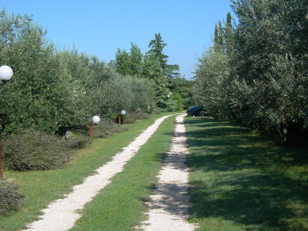 Vista Assisi Bed and Breakfast Buitenkant foto